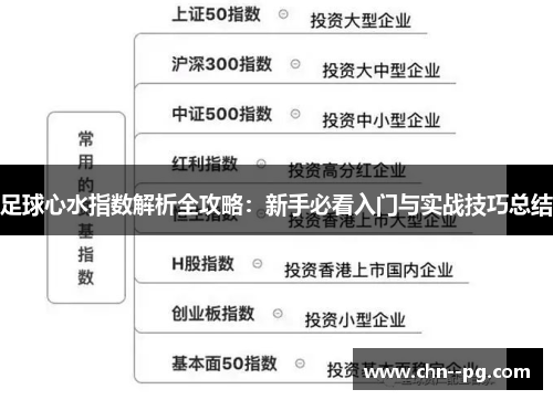 足球心水指数解析全攻略：新手必看入门与实战技巧总结