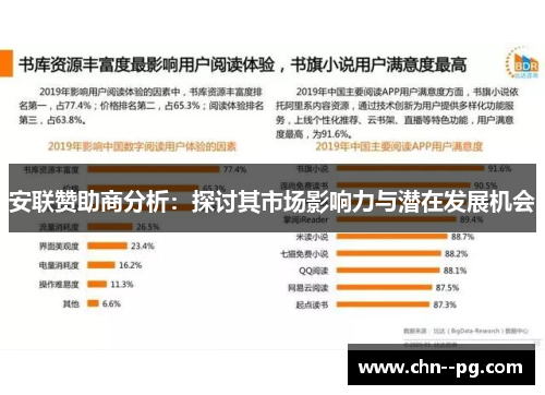 安联赞助商分析：探讨其市场影响力与潜在发展机会