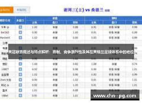 英冠联赛概述与特点解析：赛制、竞争激烈性及其在英格兰足球体系中的地位