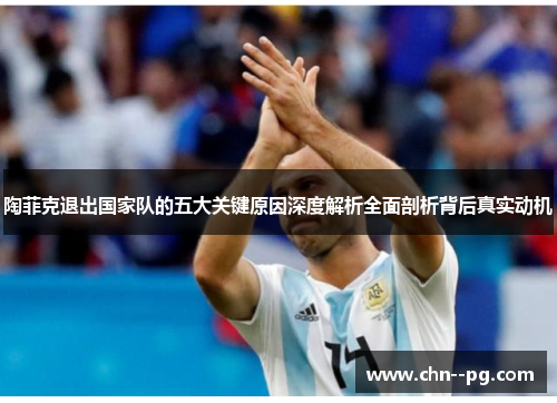 陶菲克退出国家队的五大关键原因深度解析全面剖析背后真实动机