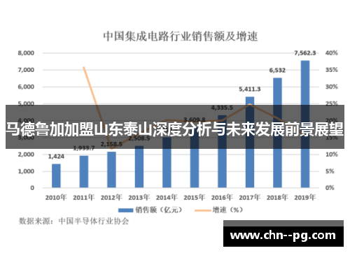 马德鲁加加盟山东泰山深度分析与未来发展前景展望
