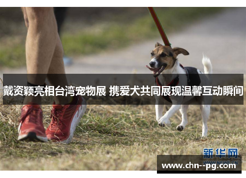戴资颖亮相台湾宠物展 携爱犬共同展现温馨互动瞬间