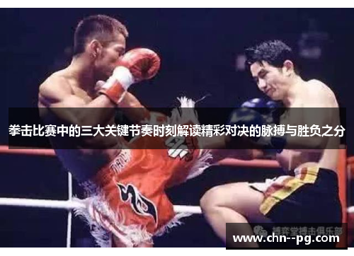 拳击比赛中的三大关键节奏时刻解读精彩对决的脉搏与胜负之分