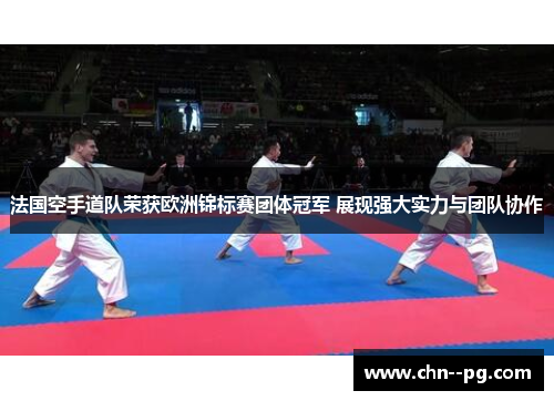 法国空手道队荣获欧洲锦标赛团体冠军 展现强大实力与团队协作