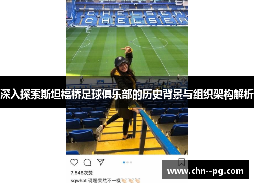深入探索斯坦福桥足球俱乐部的历史背景与组织架构解析